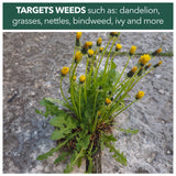 Weedblast Fast Acting Weedkiller 5 Litre with 5 Litre Garden Sprayer