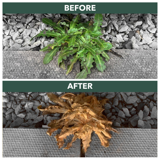 Weedblast RootKill Glyphosate Weedkiller 2 x 2.5 Litre, Ready to use with Long Hose Trigger