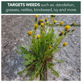Weedblast RootKill Glyphosate Weedkiller 2 x 2.5 Litre, Ready to use with Long Hose Trigger