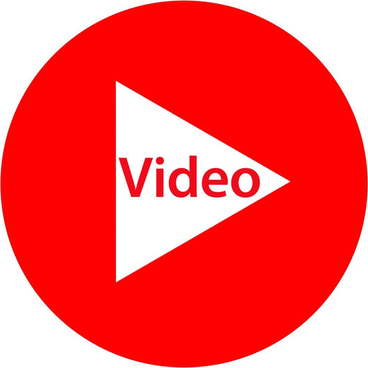 An Xray of the Human Body